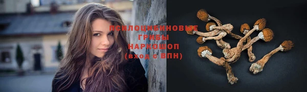 круглые Богданович