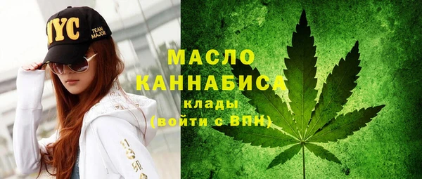 МДПВ Богородск