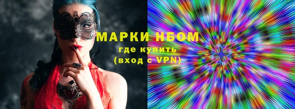 хмурый Богородицк