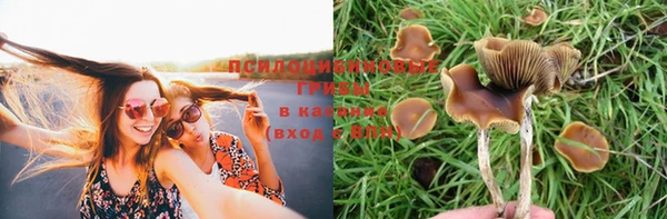 мяу мяу кристалл Новодвинск