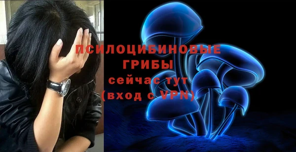 круглые Богданович
