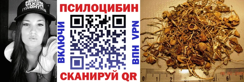 Псилоцибиновые грибы Psilocybe  Новый Оскол 